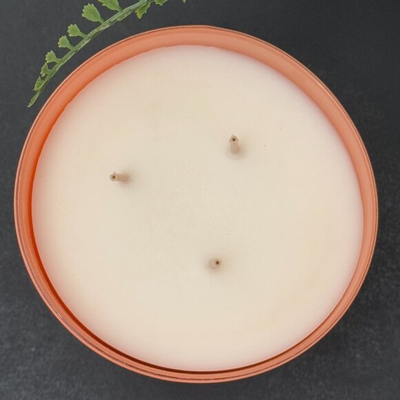 BBW Peach Bellini White Barn Bath & Body Works 3 Wick Candle - Picture 7 of 10